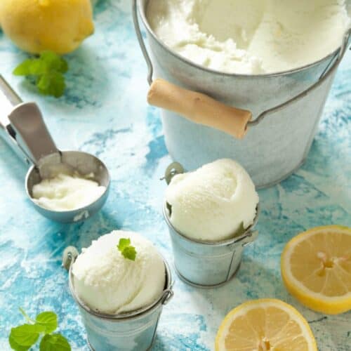 LEMON MINT SORBET PINT